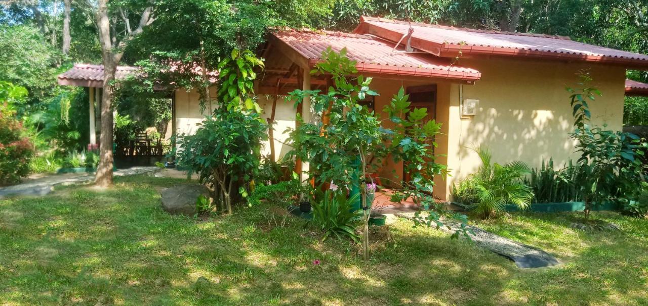 Joshua'S Cottage Σιγκιρίγια Εξωτερικό φωτογραφία