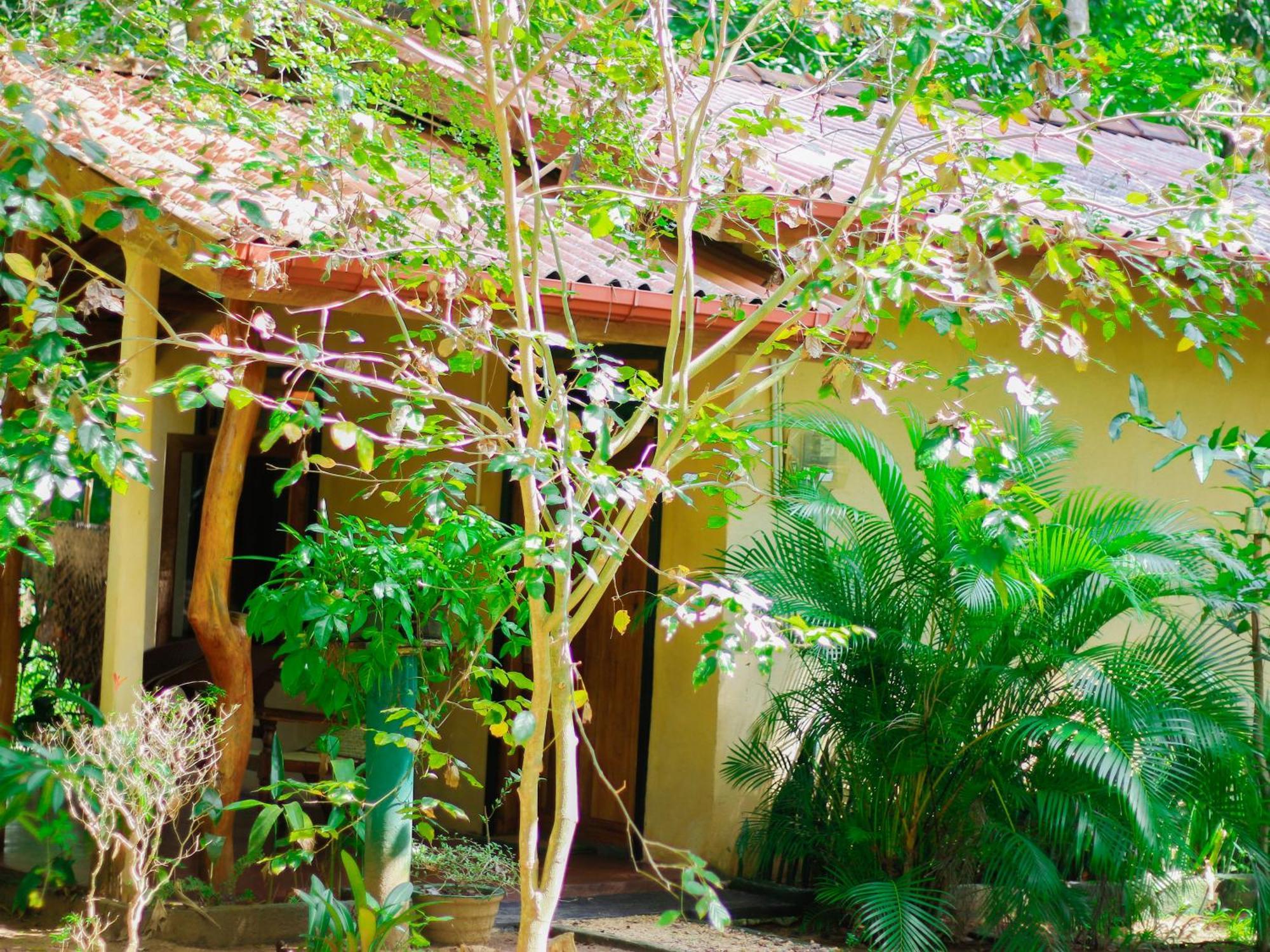 Joshua'S Cottage Σιγκιρίγια Εξωτερικό φωτογραφία